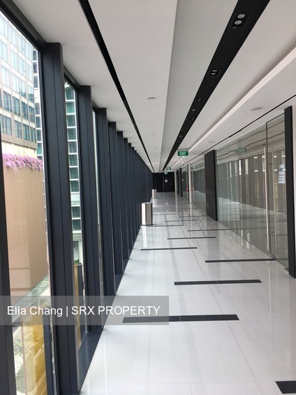 The Flow thumbnail photo